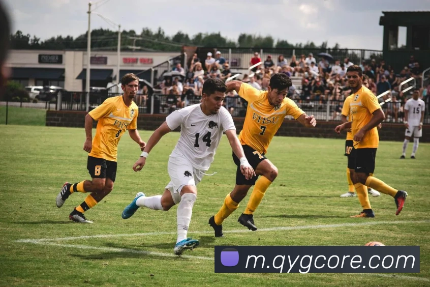 多媒体互动体验